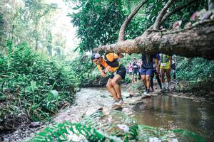 BIB: 
                            <button type="button" onclick="openModal(25455596)" class="btn btn-primary btn-sm float-right btn-popup" data-toggle="modal" data-target=".modal-high-quality">
                        <i class="fas fa-shopping-cart"></i> Add to Cart
                    </button>
                                            <button type="button" onclick="isThisMe(25455596, true)" class="btn btn-success btn-sm float-right btn-popup btn-isme hidden" data-toggle="tooltip" data-placement="bottom" title="นี่คือรูปของคุณใช่ไหม คลิกที่นี่เพื่อเอาเข้าอัลบั้ม">
                        <i class="fas fa-plus"></i> Add to album
                    </button>
                    <button type="button" onclick="isThisMe(25455596, false)" class="btn btn-warning btn-sm float-right btn-popup btn-isnotme hidden">
                        <i class="fas fa-ban"></i> Remove from album
                    </button>